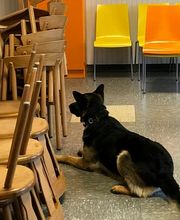 Instinkt Management Bild 4