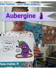 MALAC Institut des langues image 9