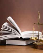 Pieri Olivia image 3