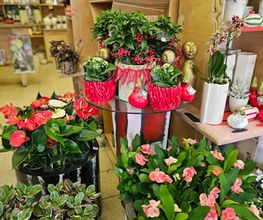 Blumen Bayer Moderne Blumengestaltung Bild 3