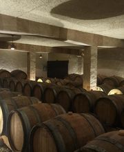 Vanacker Arnaud image 6