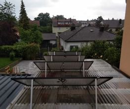1000038260.jpg