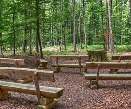 Der Andachtsplatz im FriedWald Lich bietet Platz für Trauerfeiern unter freiem Himmel.