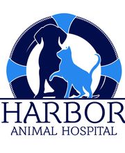 Harbor Animal Hospital image 4
