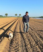 Le Jardin Des Celestins image 19