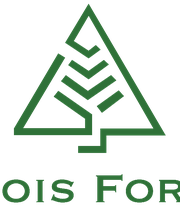 B Bois Forêts image 9