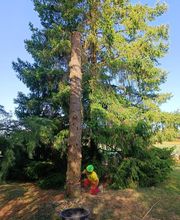 Gaillard Services Espaces Verts image 3