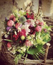 Magnolia Floristik Bild 7