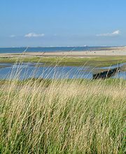 Camping De Hoogte