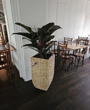 Restaurant Brunnentor Uster Bild 13