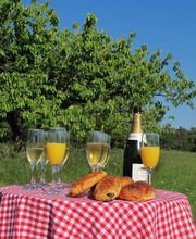 Montgolfières & Cie image 5