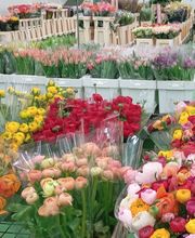 Decoflora GmbH Bild 9