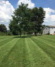 Shepherds View Landscaping & Tree Removal, LLC image 8