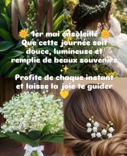 Styl'Coiff by MC image 3