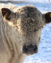 Hof Bode Inh. Jens Bode Bild 2