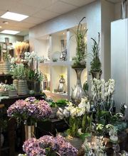 Blumen Interfleur Floristik & Wohnaccessoires Bild 4