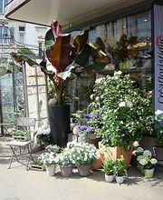 Créafloristique AG Bild 1