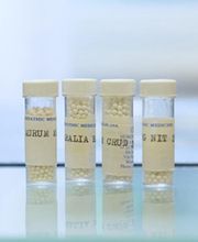 Claudio Rupp - Praxis für klassische Homöopathie Zürich Bild 5