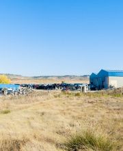 desguaces-golloa (4).jpg