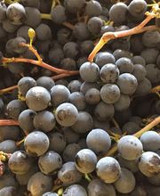 BIOCAVE Marc Güntert Bild 6