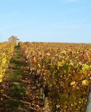 Domaine Jean Teiller image 6