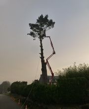 Jardin'Art image 11