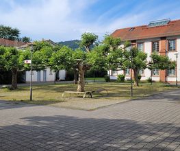 Schwarzwald-Physio Bild 6