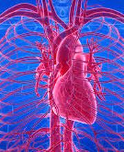 Cabinet médical Dr Thierry Grandjean Bild 5