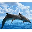 Naturheilpraxis Klinghardt-Therapie Schröder