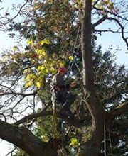 Prima Gartenbau GmbH Bild 13