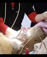 West Ridge Animal Hospital image 8