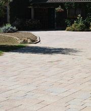 Meillonnas Paysages Elagage image 3