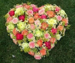 Muggli Blumen AG Bild 4