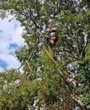 M.B.Elagage image 12