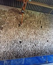 Dr Peinture image 13