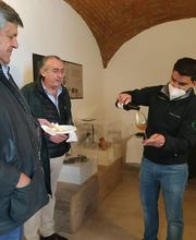 V Sentidos Catas en Extremadura imagen 6