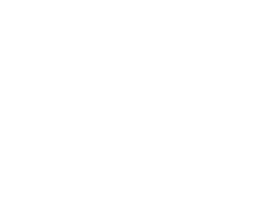 Elorecycle image 4
