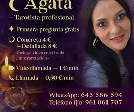 229337126-2-0TYPx5KWmJ1790587316773.jpeg
