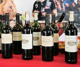 Western Cape Wines_Hartenberg & Post House - Elegance & Full Bodied