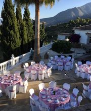 Tomate Algo imagen 3