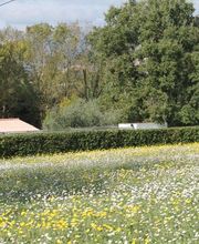 Pension Dog Méditerranée image 1