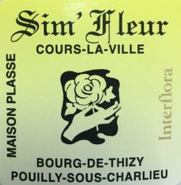 Sim' Fleur Maison Plasse