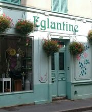 Eglantine image 5