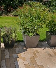 Gartenbau Schlup AG Bild 10