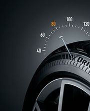 Euromaster Lentisco Gomme immagine 20