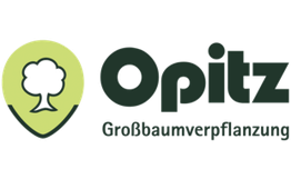 Opitz GmbH & Co. KG, Großbaumverpflanzung