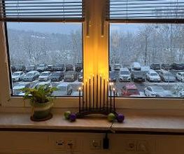 Ein Kerzenhalter Weihnachtsschmuck neben einer Pflanze.
