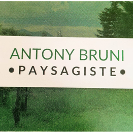 BRUNI ANTONY