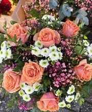 Blumen Leo Bild 7