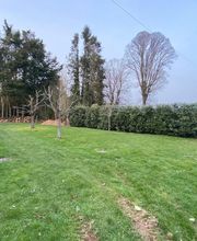 Berthelot Paysage image 7